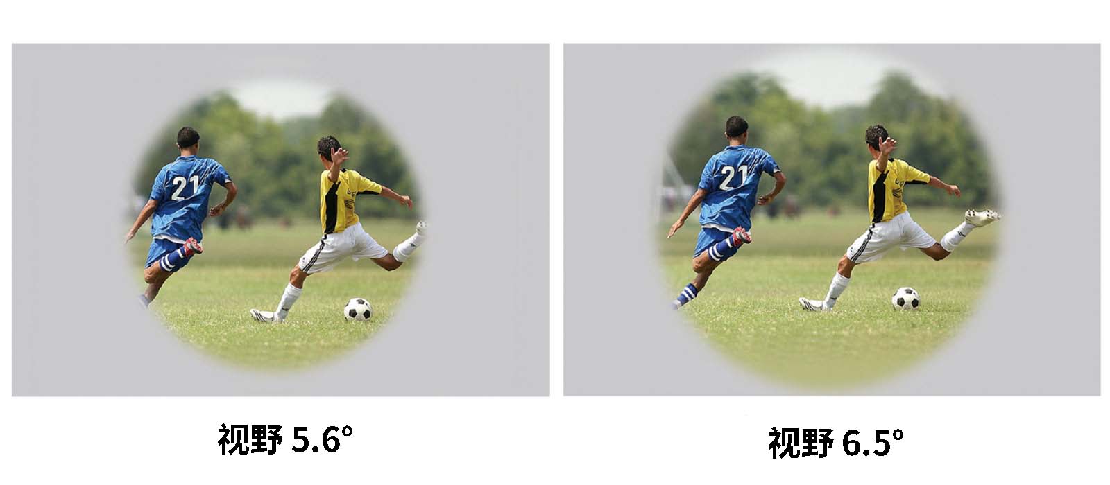 中文05.jpg